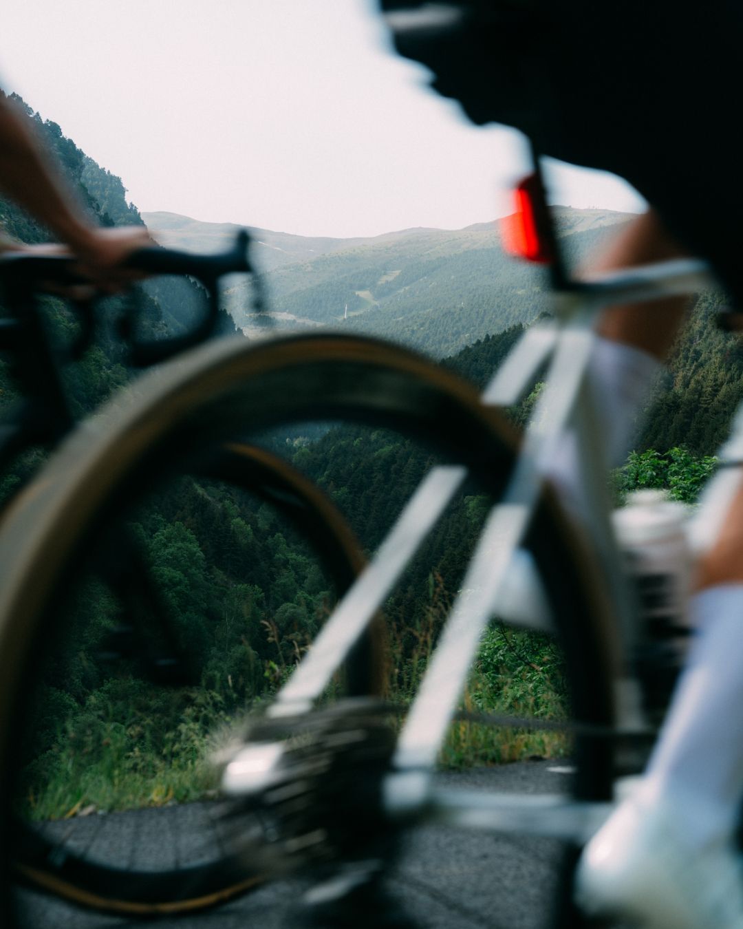 Smart Detection Preview