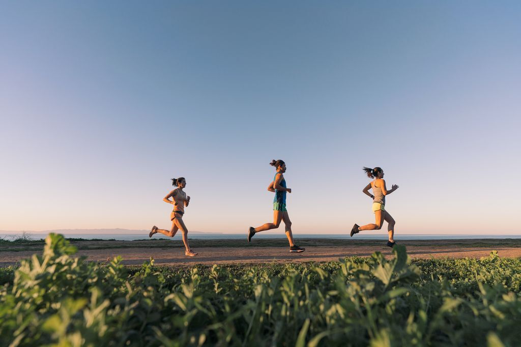 Creator Collection 2